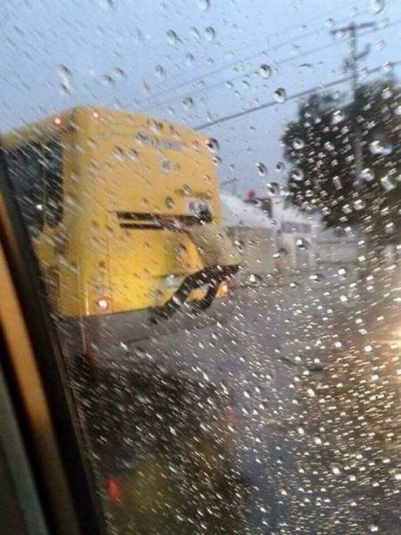 funny-pictures-1295