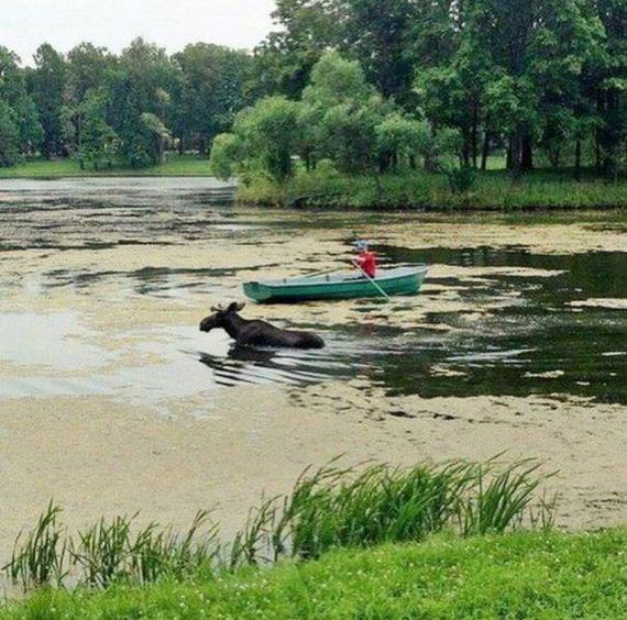 funny-pictures-1295