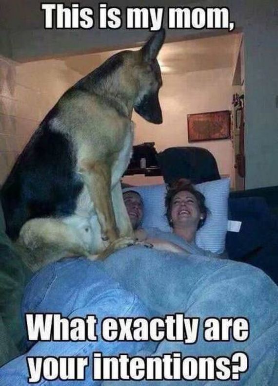 funny-pictures-1295