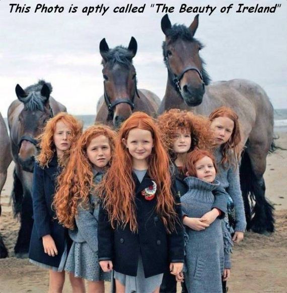 funny-pictures-1295