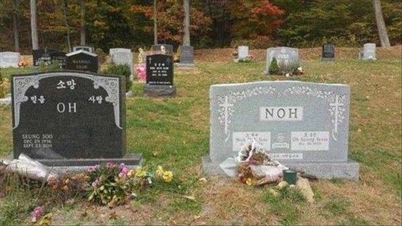 funny-pictures-1297