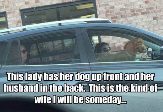 funny-pictures-1297
