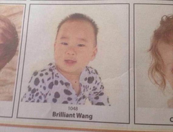 funny-pictures-1297