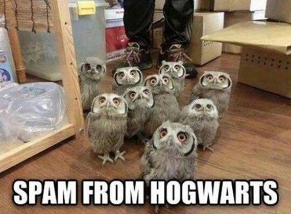 funny-pictures-1297