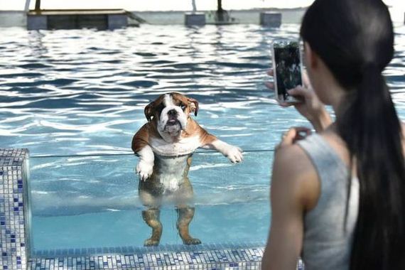 funny-pictures-1297