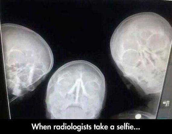 funny-pictures-1297