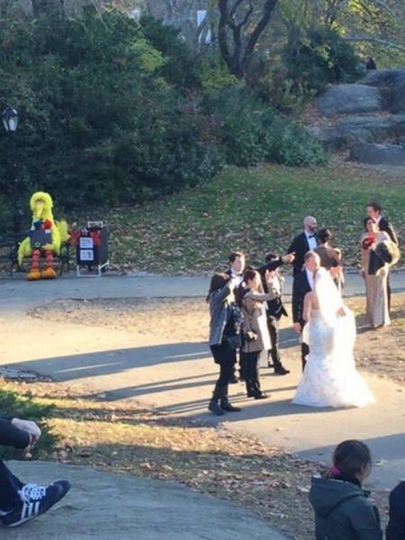 funny-pictures-1297