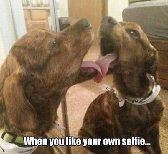 funny-pictures-1297