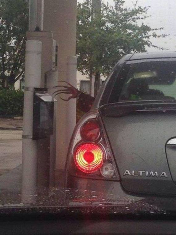 funny-pictures-1297