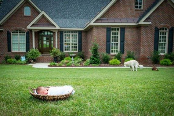 funny-pictures-1299