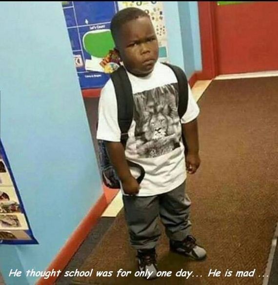 funny-pictures-1299