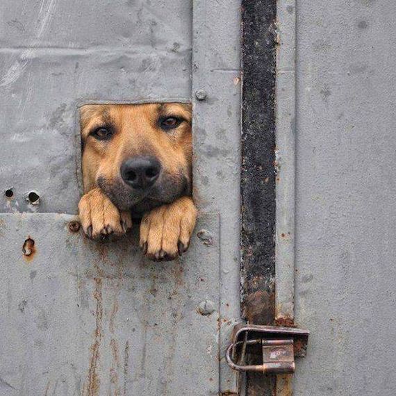 funny-pictures-1299