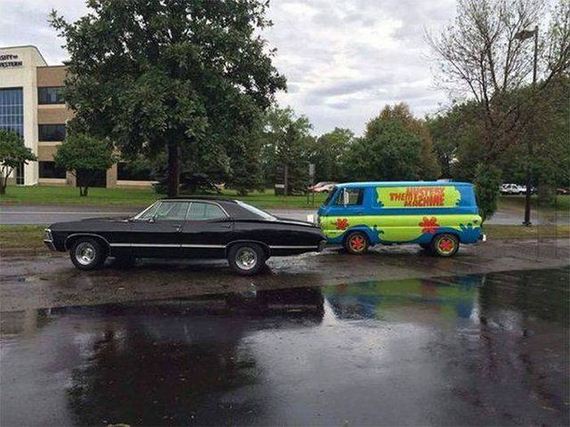 funny-pictures-1302