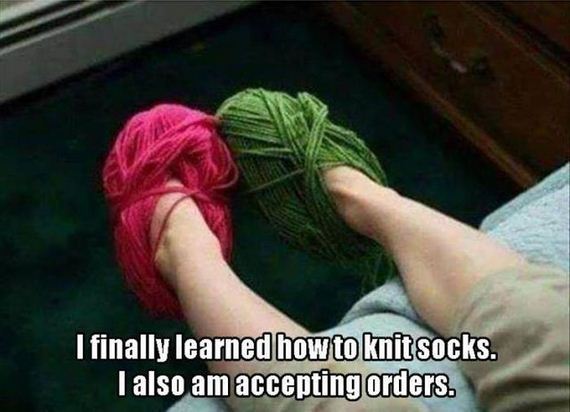 funny-pictures-1302