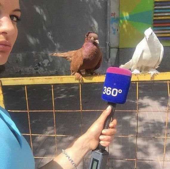 funny-pictures-1302