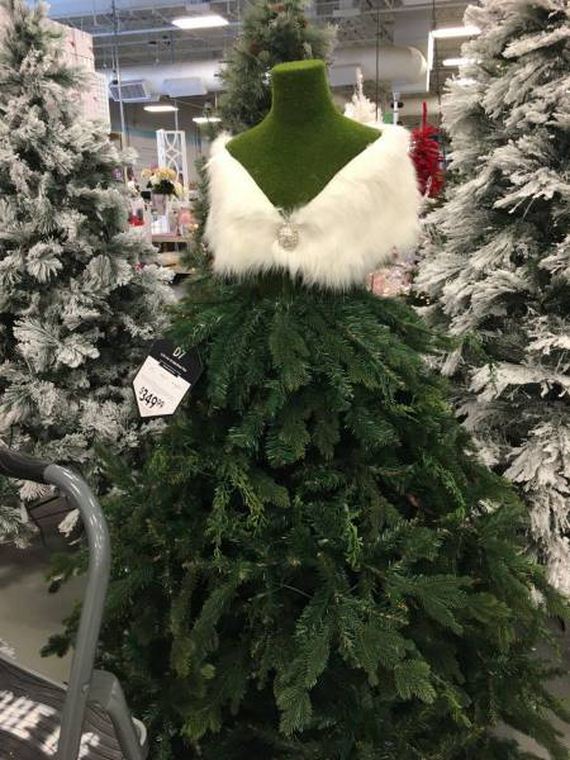 funny-pictures-1302