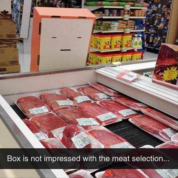 funny-pictures-1302
