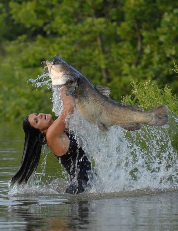 funny-pictures-1305