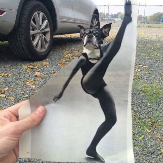 funny-pictures-1305
