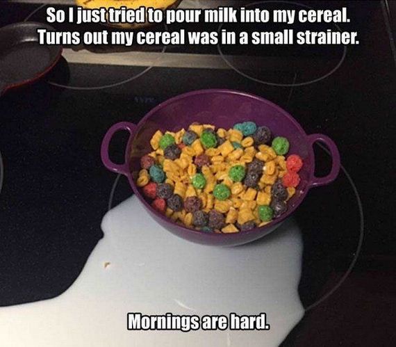 funny-pictures-1305