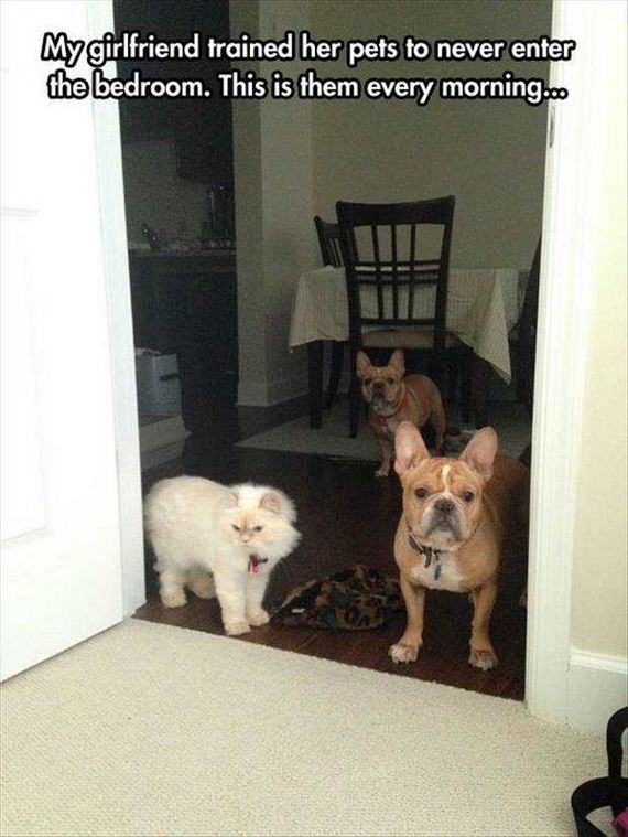 funny-pictures-1305