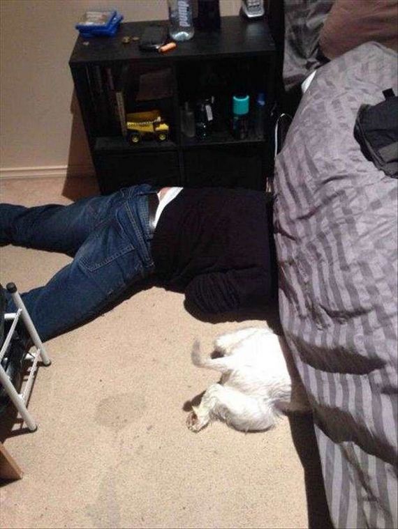 funny-pictures-1305