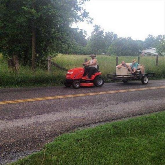 funny-pictures-1305
