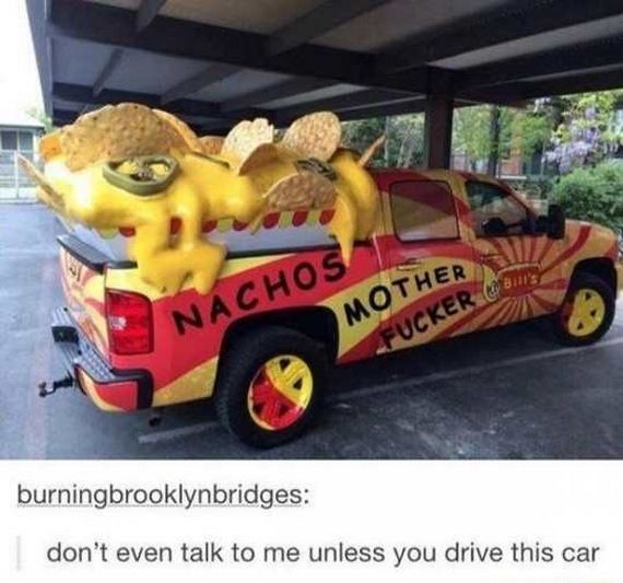 funny-pictures-1305