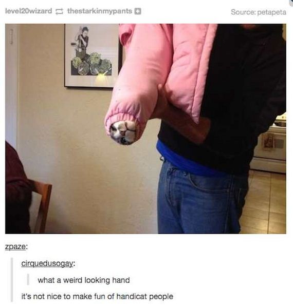funny-pictures-1305