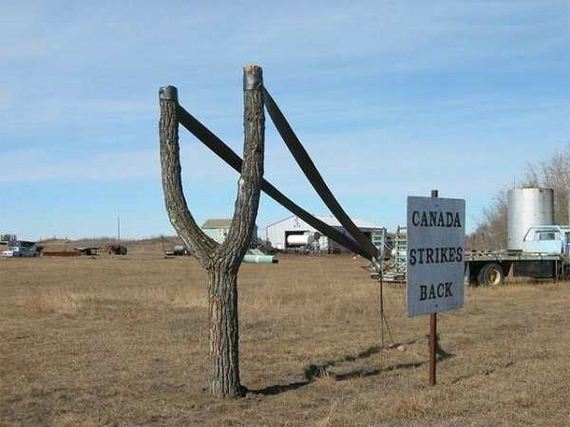 funny-pictures-1305