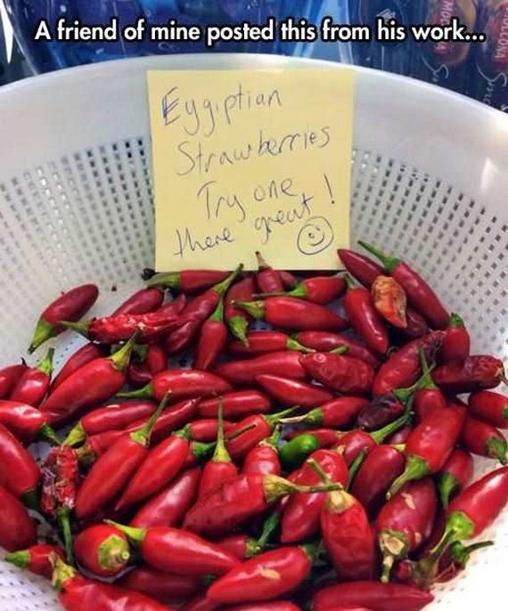 funny-pictures-1305