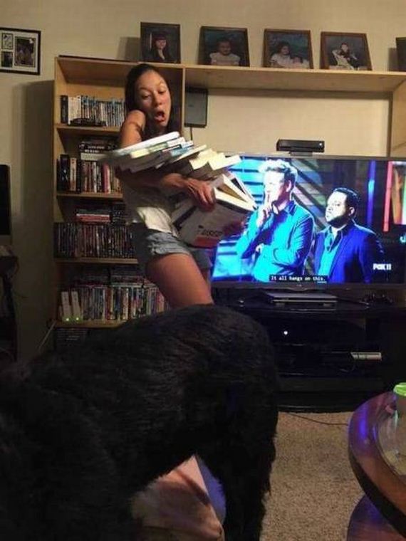 funny-pictures-1306