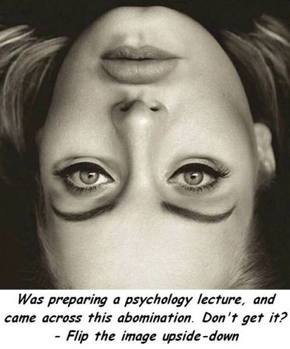 funny-pictures-1312