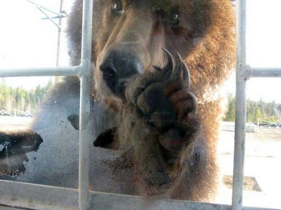 funny-pictures-1312