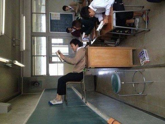 funny-pictures-1312