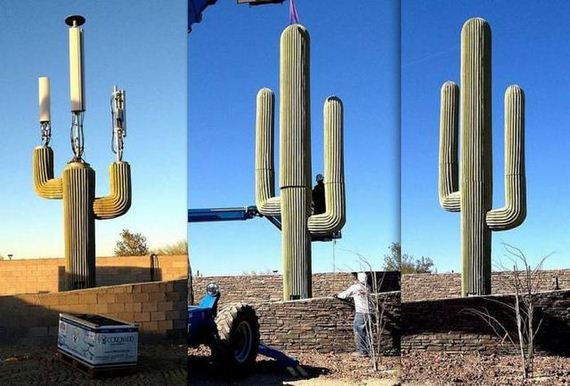funny-pictures-1312
