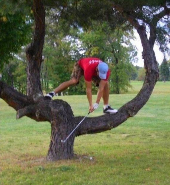 funny-pictures-1312