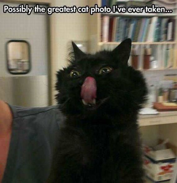 funny-pictures-1312