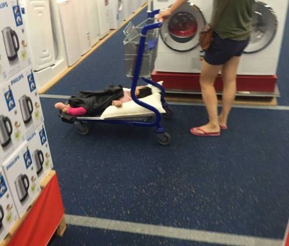 funny-pictures-1312