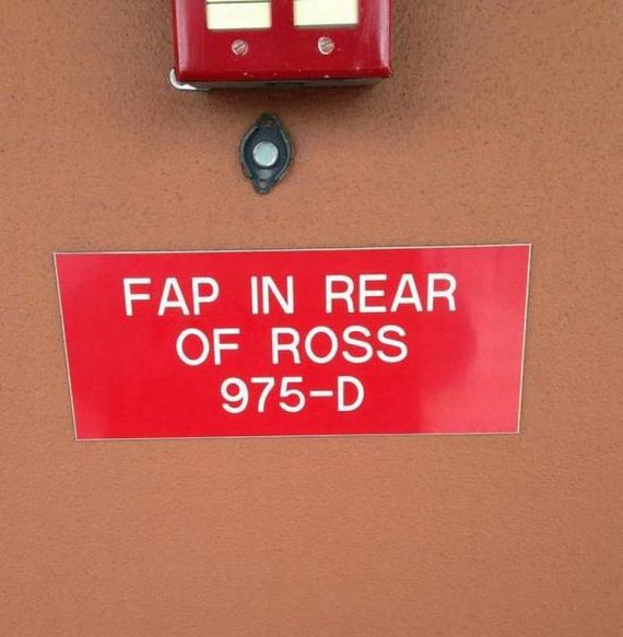 funny-pictures-1312