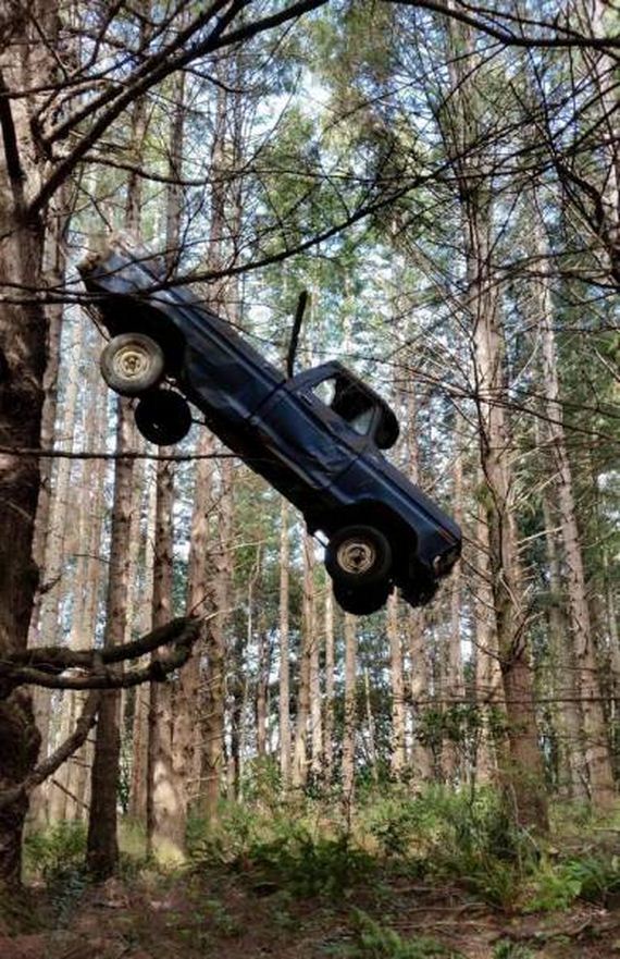 funny-pictures-1312