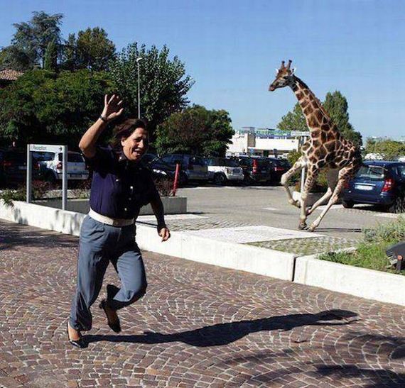 funny-pictures-1312