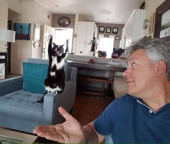funny-pictures-1316