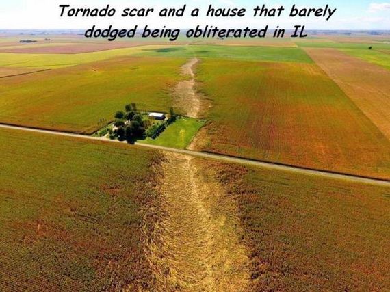 funny-pictures-1316