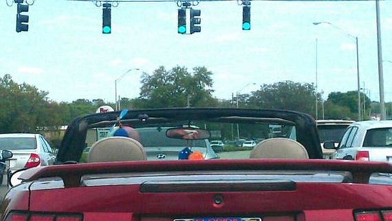 funny-pictures-1316