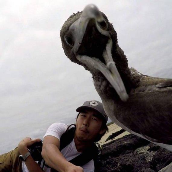 funny-pictures-1316