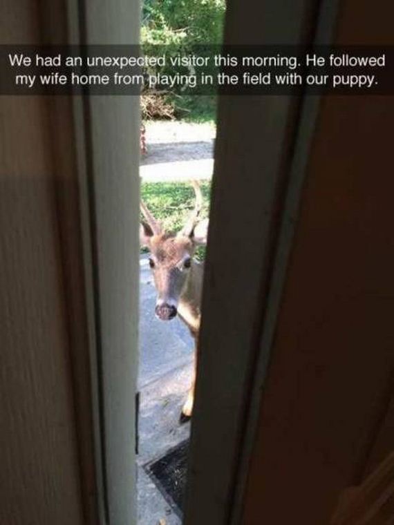 funny-pictures-1316