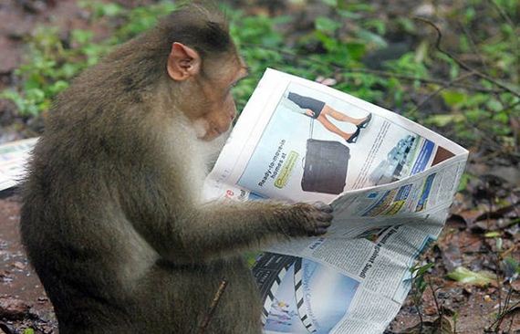 funny-pictures-1317
