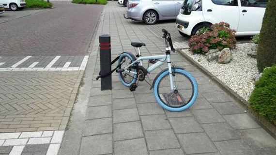 funny-pictures-1317