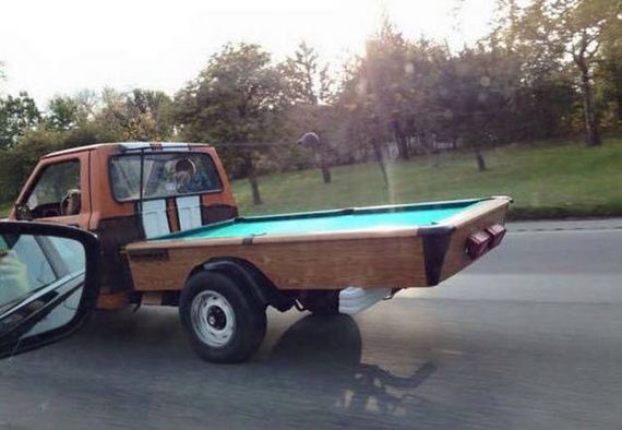 funny-pictures-1317